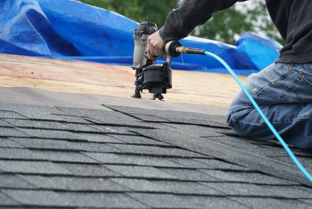 Best Green or Eco-Friendly Roofing Solutions  in Canyon, TX